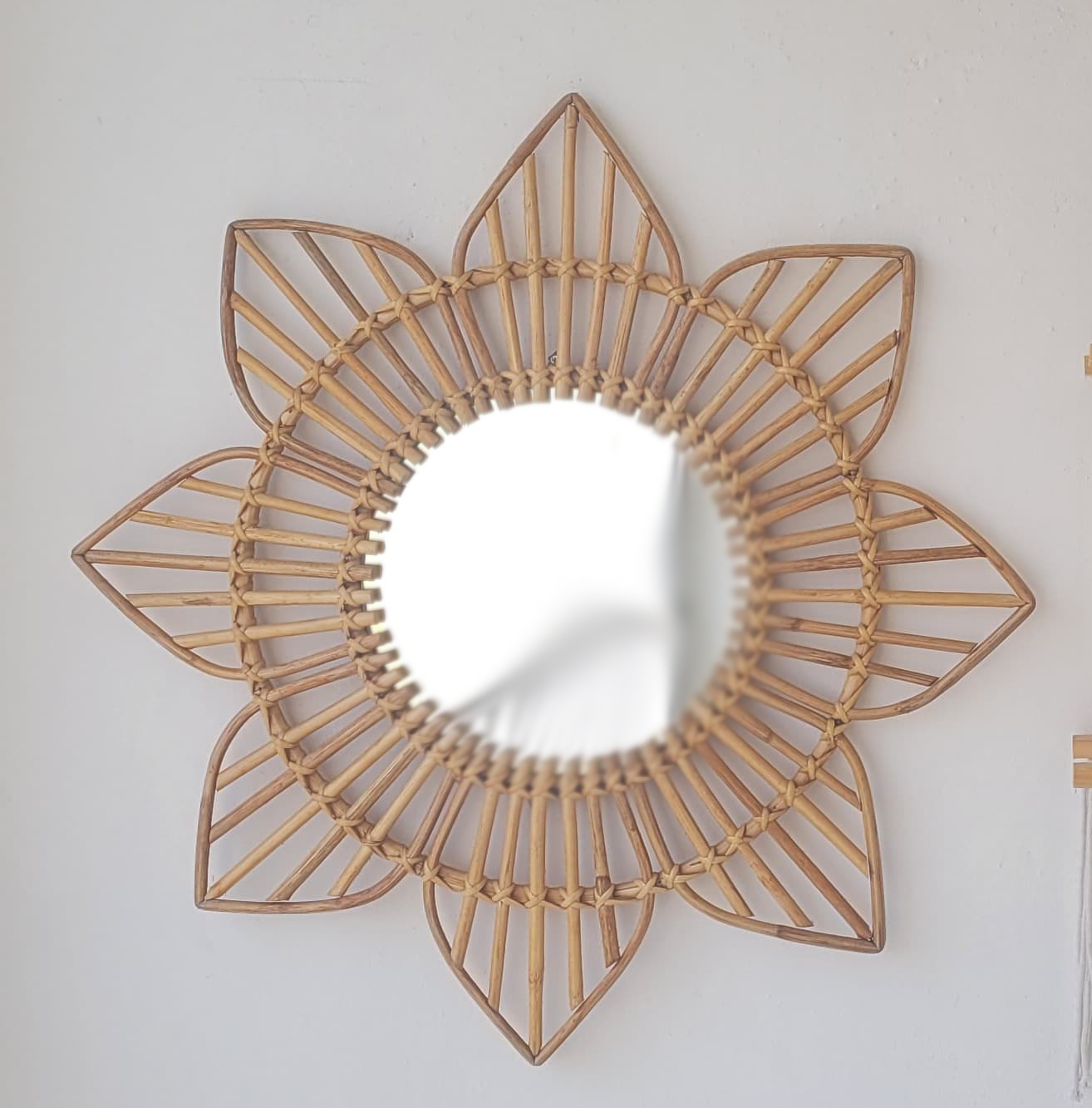 BAMBOO MIRRORS